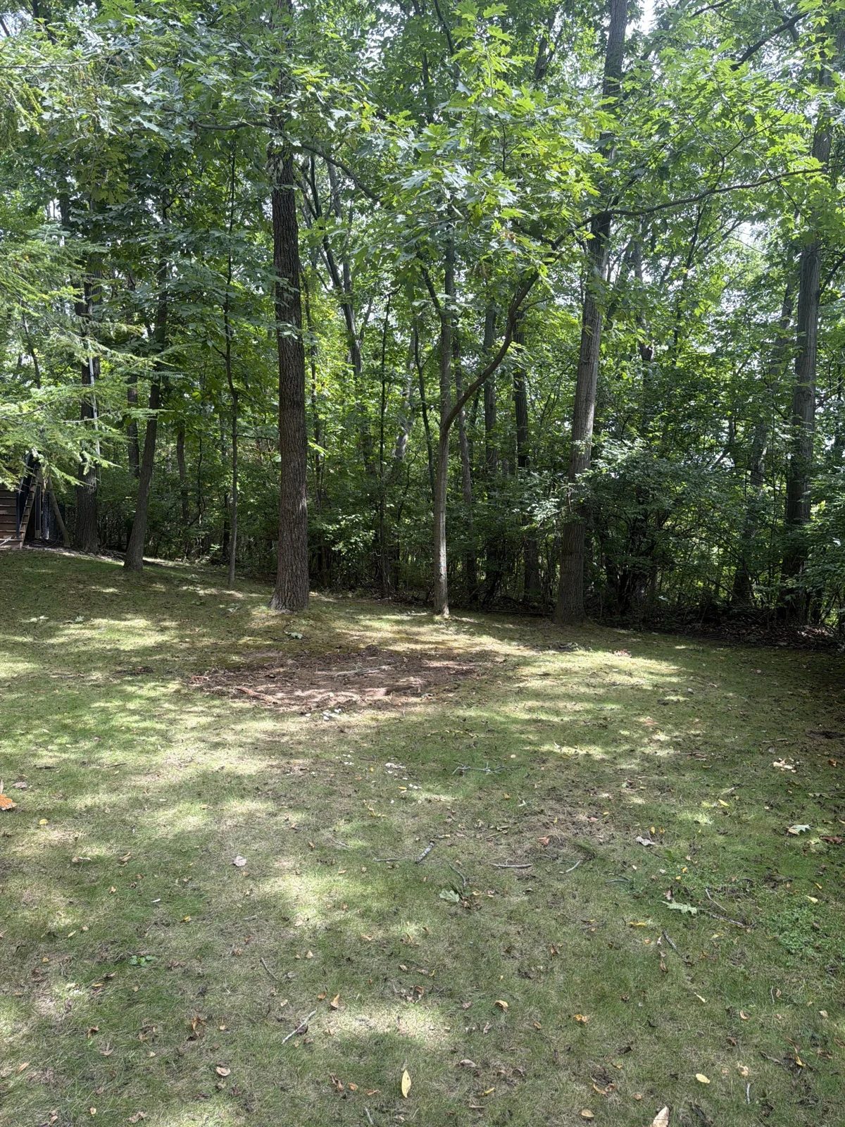Open backyard space after the wooden swing set and playset was removed
